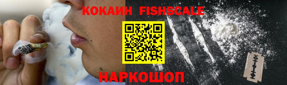 COCAIN Боливия  Вход с VPN  Павлово  COCAIN Fish Scale 