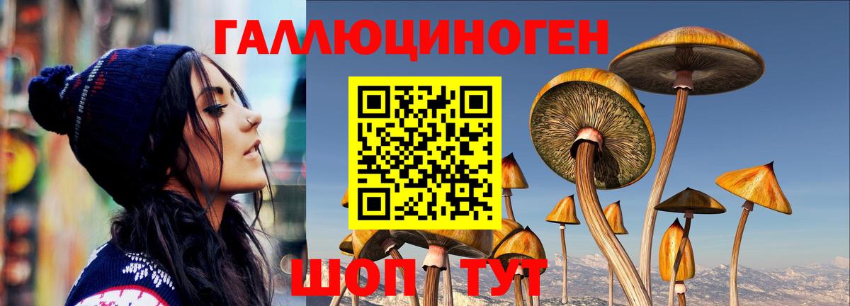 Псилоцибиновые грибы MAGIC MUSHROOMS Павлово